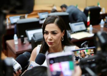 No se debe minimizar la solicitud que formalmente ha hecho el gobierno de Estados Unidos en el caso de Rocha Moya: Dany Soto