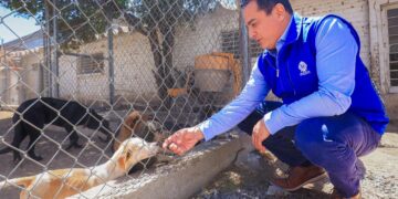 Con el Hospital Veterinario y el CAAN, Toño Ochoa mantiene servicios accesibles para los seres sintientes