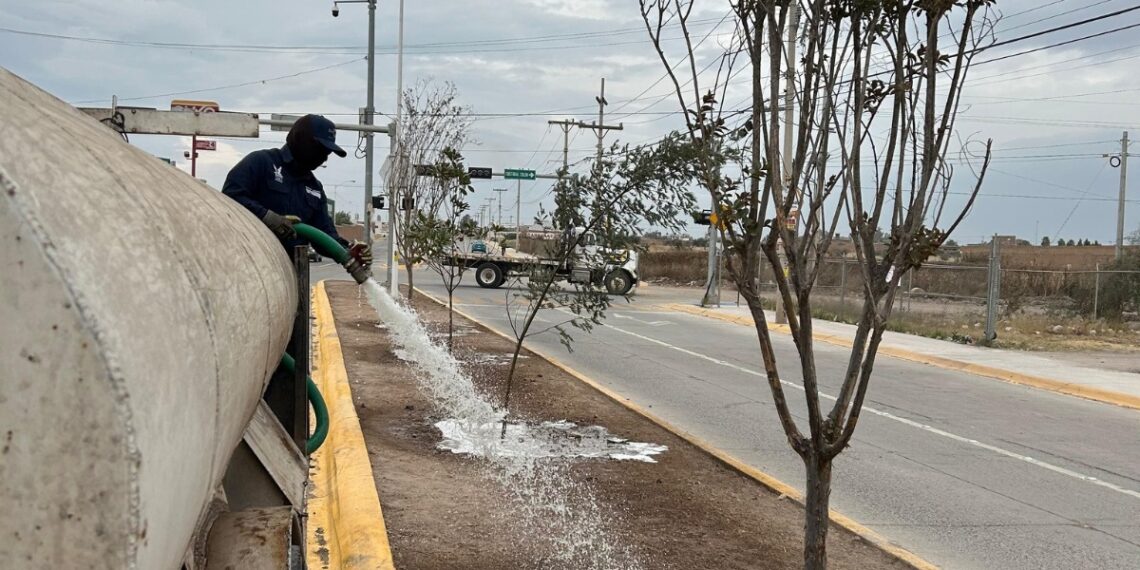 Advierten que crear áreas verdes sin mantenimiento provoca su deterioro