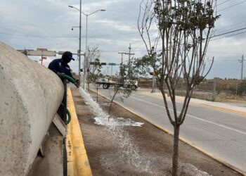 Advierten que crear áreas verdes sin mantenimiento provoca su deterioro