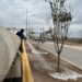 Advierten que crear áreas verdes sin mantenimiento provoca su deterioro