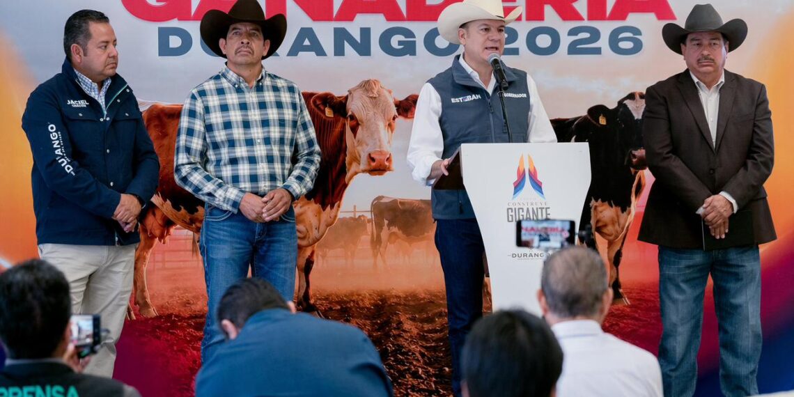 Con inversión federal y estatal, entregan mil 200 sementales bovinos para mejorar la genética del ganado duranguense