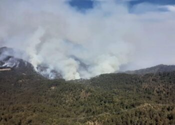 Durango reduce incendios forestales y sale de los primeros lugares nacionales