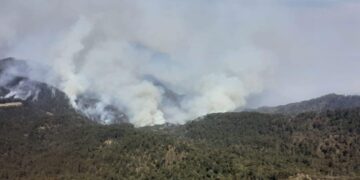 Durango reduce incendios forestales y sale de los primeros lugares nacionales