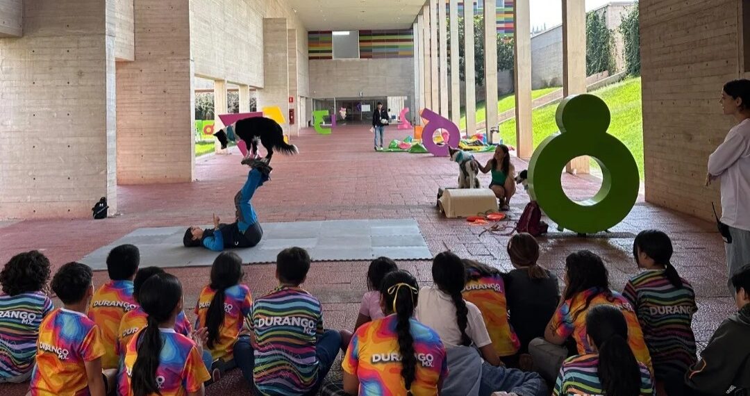 Museo Bebeleche prepara curso de verano y nueva exposición temática sobre dragones