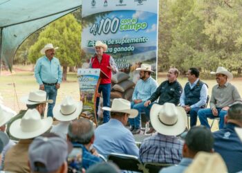 Ganaderos de la zona sierra de Durango reciben 250 toneladas de maíz molido para alimentar a su ganado y kits sanitarios para prevenir el gusano barrenador