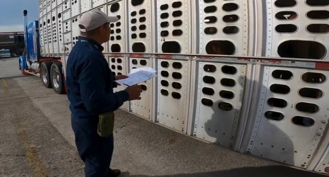 En Nombre de Dios, tercer caso de gusano barrenador dentro de Durango
