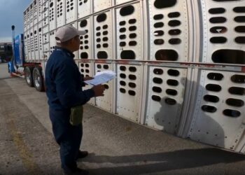 En Nombre de Dios, tercer caso de gusano barrenador dentro de Durango