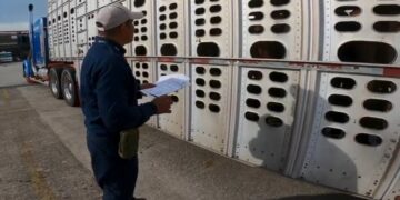 En Nombre de Dios, tercer caso de gusano barrenador dentro de Durango