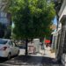 Vecinos del Centro Histórico participarán en cuidado de árboles en nueva estrategia de reforestación
