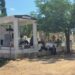 Saldo blanco en la Romería del Día del Padre en Durango