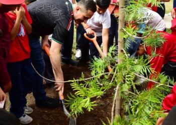¡Verde es el camino! con más árboles, microbosques y participación: Toño Ochoa