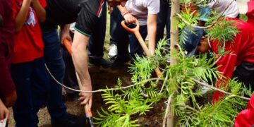 ¡Verde es el camino! con más árboles, microbosques y participación: Toño Ochoa
