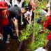 ¡Verde es el camino! con más árboles, microbosques y participación: Toño Ochoa