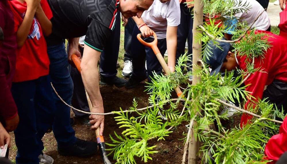 ¡Verde es el camino! con más árboles, microbosques y participación: Toño Ochoa
