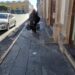 Alimentación y vivienda concentran las principales solicitudes de apoyo social en Durango