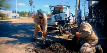 Prevenir es el camino en temporada de lluvias con el retiro de casi 2 mil toneladas de basura y escombro: Toño Ochoa