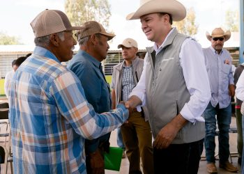 Frijol, avena y suplemento llegan a tiempo para que productores de Cuauhtémoc aprovechen la temporada; reconocen que mejoran su producción