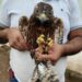 Refuerza Toño Ochoa rescate de fauna silvestre durante la temporada de lluvias