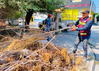 Betzabé Martínez impulsa recuperación de espacios públicos con acciones de La Transformadora