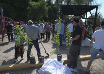Betzabé Martínez encabeza jornada de reforestación en el Parque 5 de Mayo