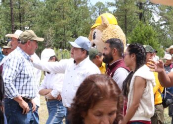 Suma Congreso a la Jornada Nacional de Reforestación