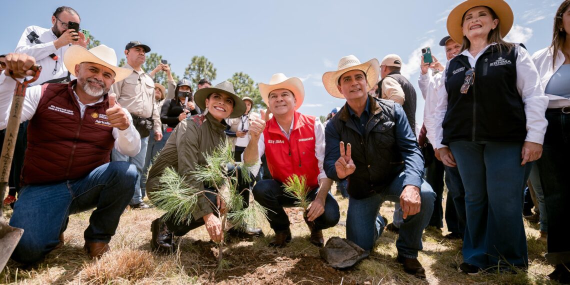 Durango, primera reserva forestal de México y referente en conservación de sus bosques
