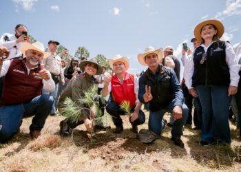 Durango, primera reserva forestal de México y referente en conservación de sus bosques