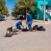 SIDEAPA refuerza acciones de limpieza en alcantarillas del fraccionamiento Bosque Real