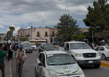 Invitan a reactivar este domingo las vueltas dominicales en la avenida 20 de Noviembre