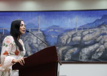 DIF Estatal, aliado de las familias que más lo necesitan: Dany Soto