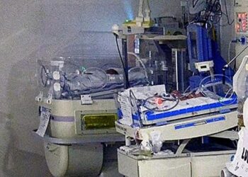 Fiscalía estatal apoyará investigación federal por muerte de cinco bebés