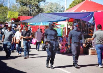 Obra del parque Benigno Montoya condiciona romería de Muertos