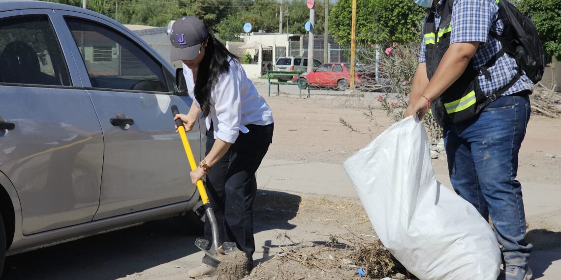 Gobierno de Betzabé Martínez fomenta la cultura ambiental con Mega Jornada de Limpieza y separación de residuos