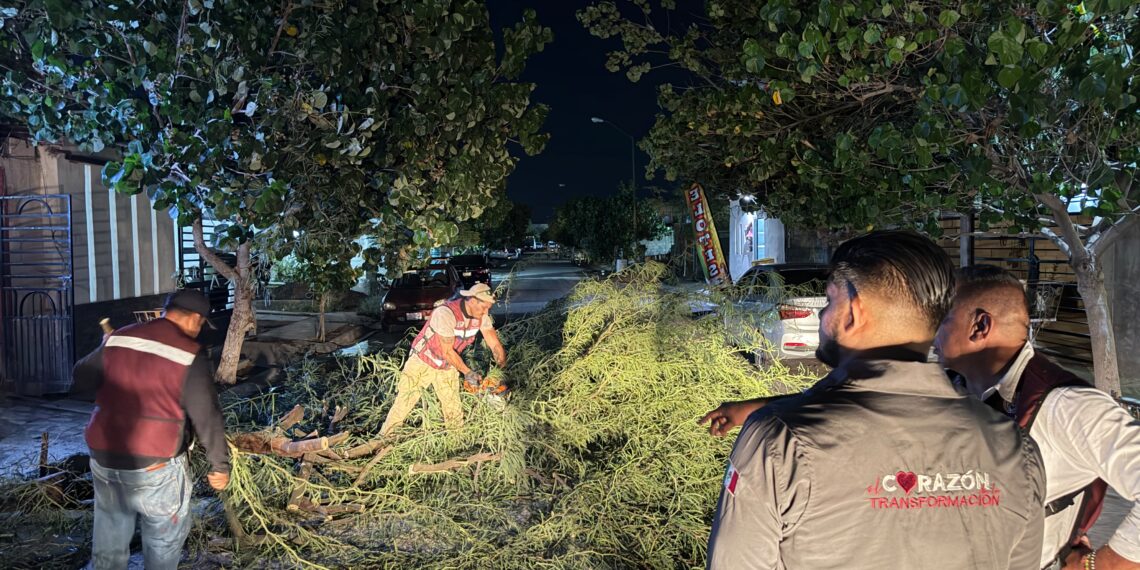 Activa Betzabé protocolo de atención ante lluvias y fuertes rachas de viento