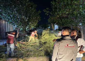 Activa Betzabé protocolo de atención ante lluvias y fuertes rachas de viento