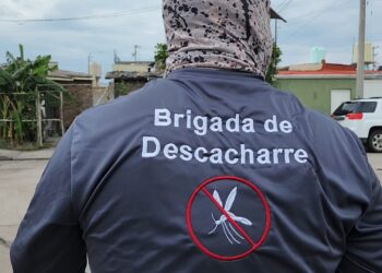 Refuerza Toño Ochoa combate al dengue, retiran más de 410 toneladas de cacharros en Durango