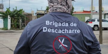 Refuerza Toño Ochoa combate al dengue, retiran más de 410 toneladas de cacharros en Durango