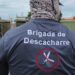 Refuerza Toño Ochoa combate al dengue, retiran más de 410 toneladas de cacharros en Durango