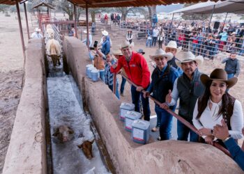 Durango mantiene estatus para exportar ganado a Estados Unidos tras revisión de USDA