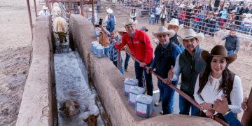 Durango mantiene estatus para exportar ganado a Estados Unidos tras revisión de USDA