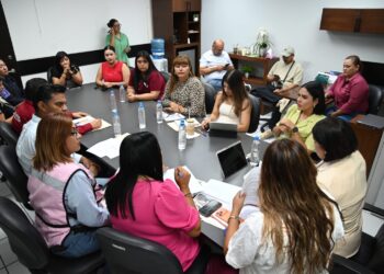 Revisa Comisión de Mujeres acciones de atención a la violencia y salud femenina