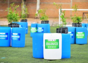 Lleva Toño Ochoa 1,700 árboles y contenedores a 85 planteles