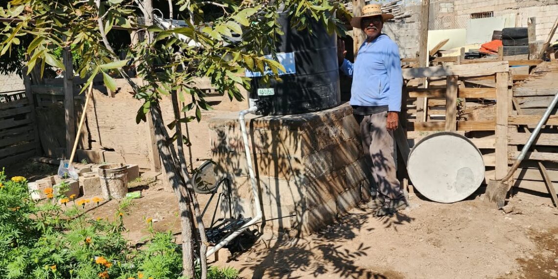 Gobierno de Betzabé Martínez impulsa huertos familiares más productivos con sistemas de riego por goteo y asistencia técnica